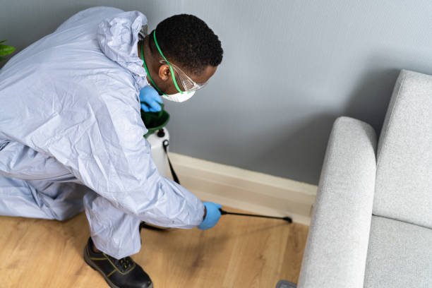 Emergency Pest Control in Meadows Place, TX